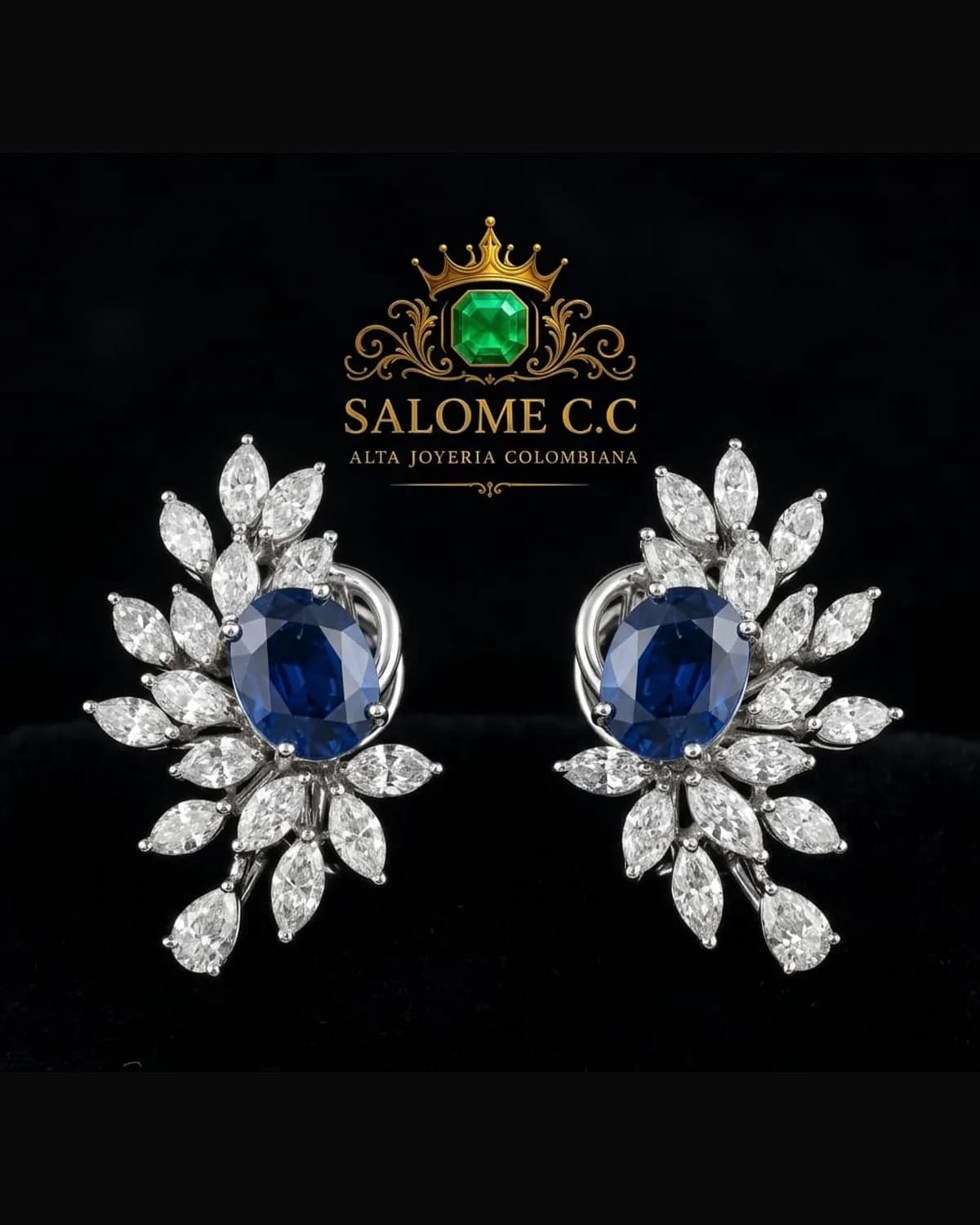 Aretes Pluma de Coscuez
